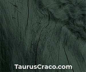 TAURUS Craco Blade banner March 2021